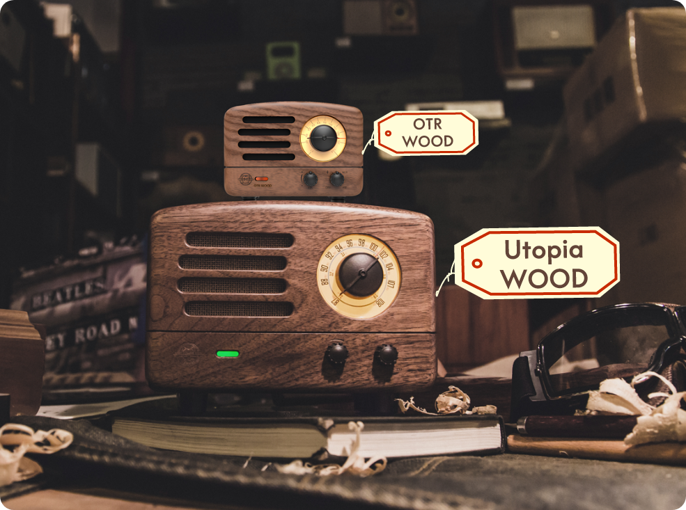 Wood Retro FM Radio and Bluetooth Speaker