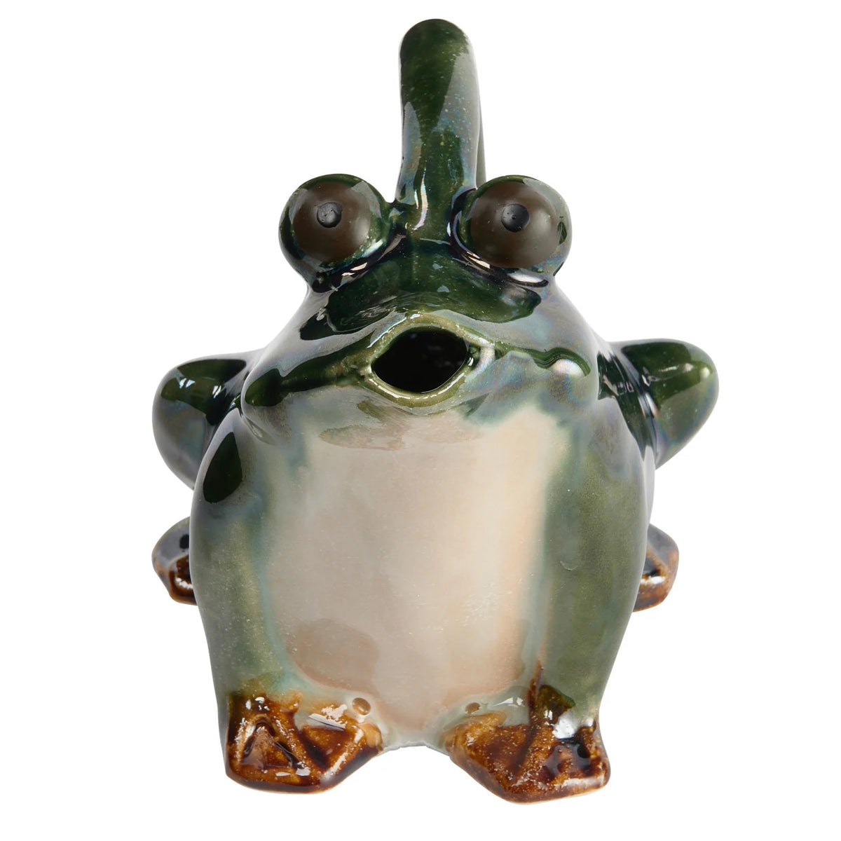 Ceramic Frog Watering Pitcher