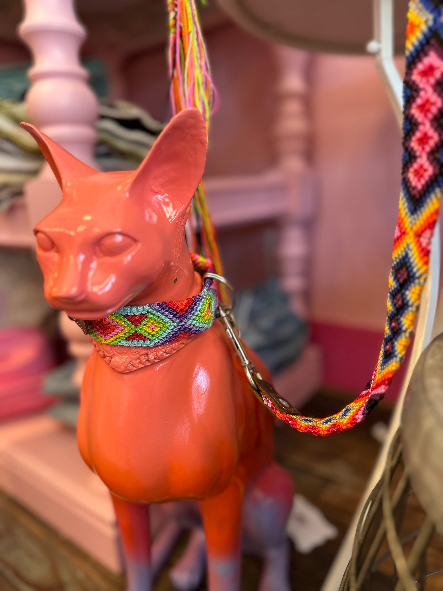 Mexico - Dog Collars & Leashes