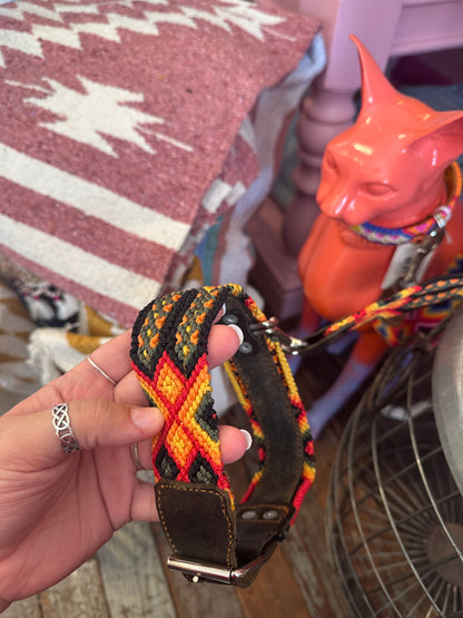 Mexico - Dog Collars & Leashes