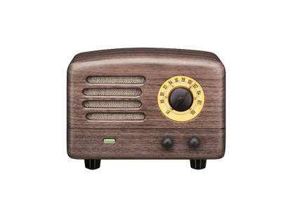 Wood Retro FM Radio and Bluetooth Speaker