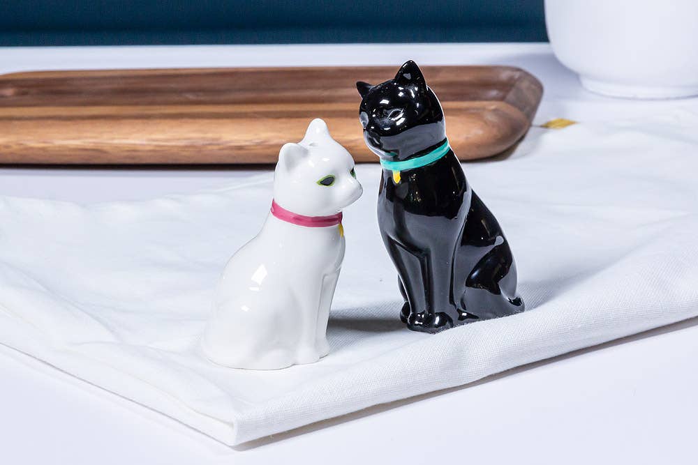 Salt & Pepper Shakers - Cuddling Cat